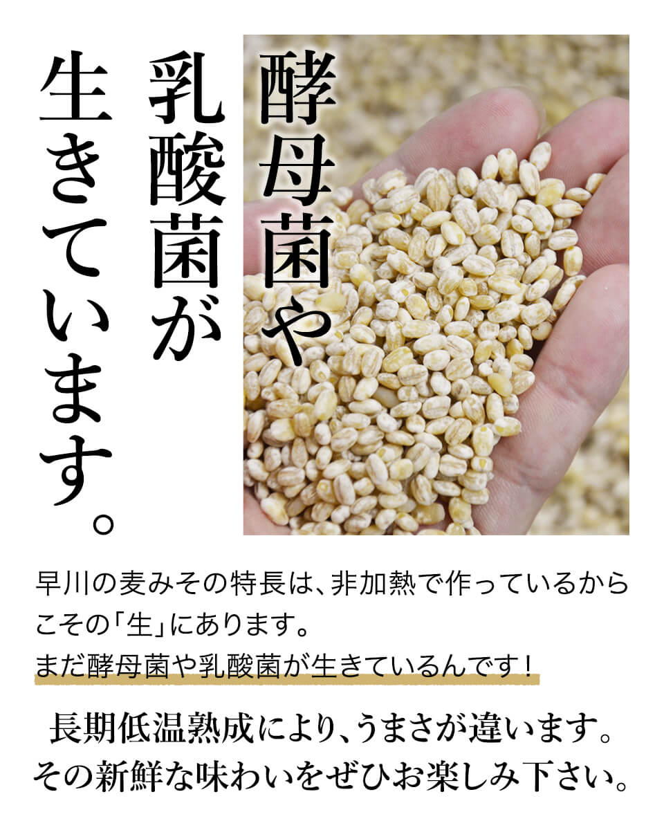 4kg 麦みそタル 早川しょうゆみそ みやこんじょ産直LiveShopping