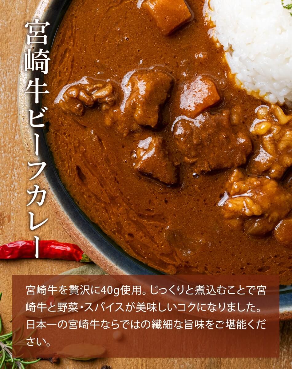 宮崎カレーセット ばあちゃん本舗 みやこんじょ産直LiveShopping