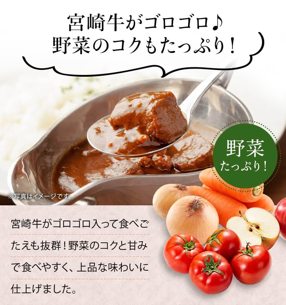 宮崎カレーセット ばあちゃん本舗 みやこんじょ産直LiveShopping