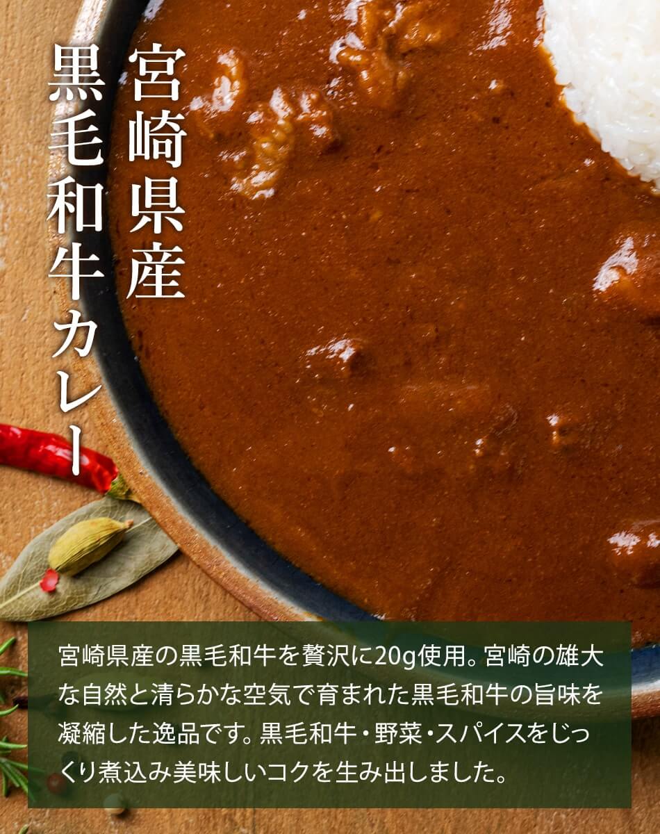 宮崎カレーセット ばあちゃん本舗 みやこんじょ産直LiveShopping