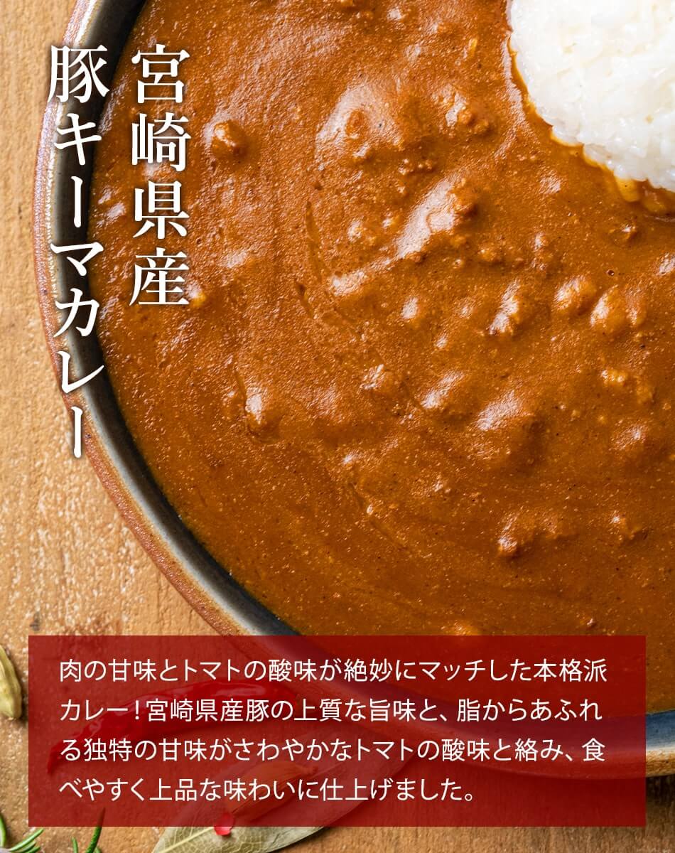 宮崎カレーセット ばあちゃん本舗 みやこんじょ産直LiveShopping