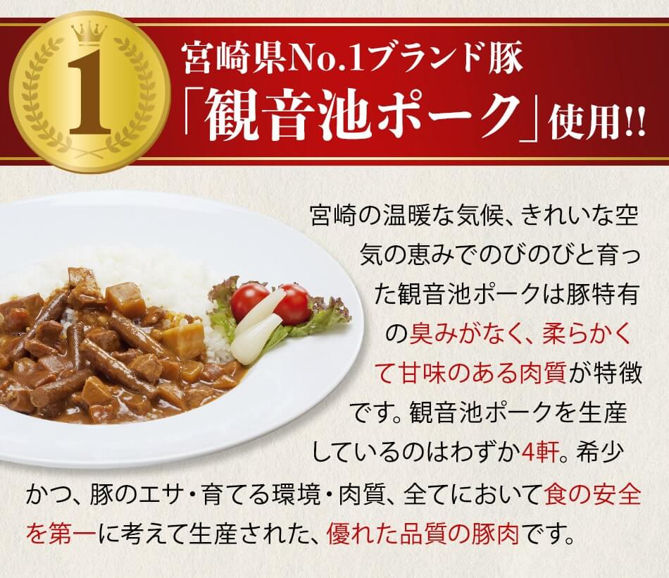 宮崎カレーセット ばあちゃん本舗 みやこんじょ産直LiveShopping