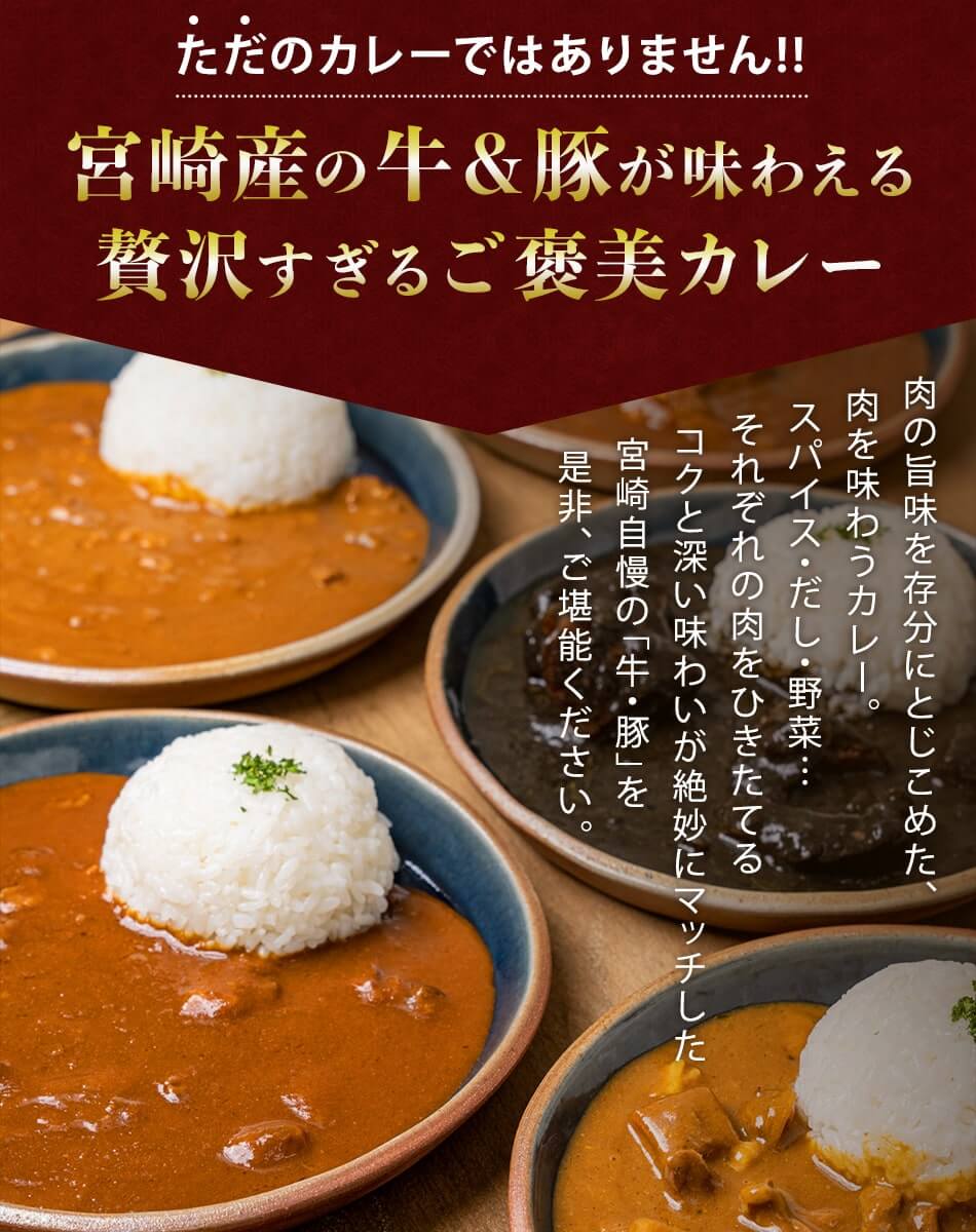 宮崎カレーセット ばあちゃん本舗 みやこんじょ産直LiveShopping