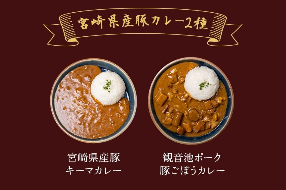 宮崎カレーセット ばあちゃん本舗 みやこんじょ産直LiveShopping