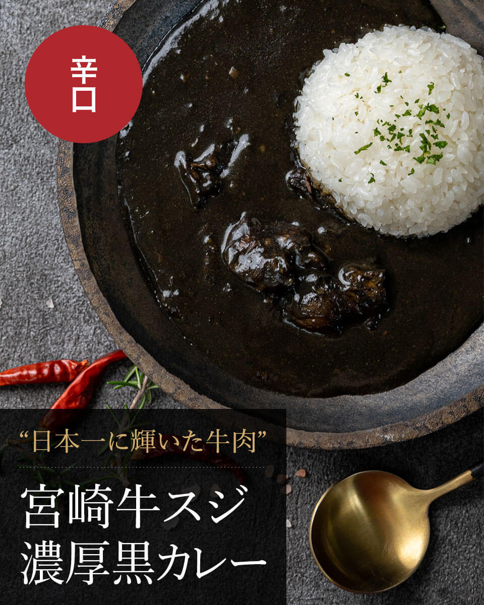 宮崎牛スジ濃厚黒カレー（辛口） 野上食品 みやこんじょ産直LiveShopping